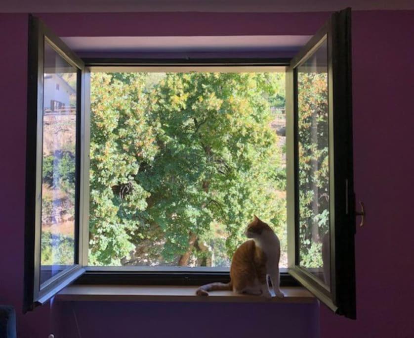 Casa Con Vista A Gravere 外观 照片
